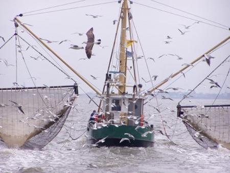 Short Stay De Rode Kers Harlingen Kültér fotó